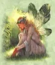 Fairy glen