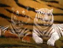 TIGERS