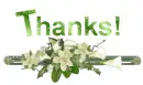 thank you!