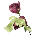 	 Rose with Bow