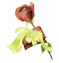 Rose with Bow