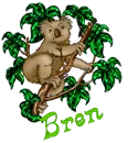 Bren