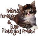 FRIENDS FOREVER & EVER I LOVE YOU FRIEND!