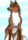 wolf