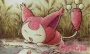 cintia's skitty
