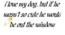 dogs 