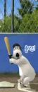 baseball