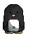 cute penguin