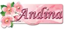 Andina