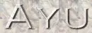 Ayu