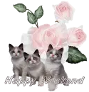 Happy Weekend