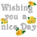 Nice day