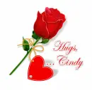 a rose for you-Cindy