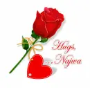 a rose for you-Najwa