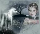 Unicorn fantasy