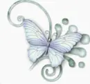 Butterfly on train