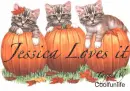 Jessica loves it kittys
