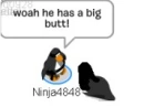 funny clubpenguin lolz