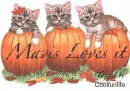 Mavis Loves it kittys
