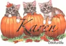 Karen kittys