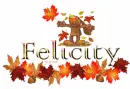 Felicity