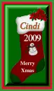 2009 Christmas Stocking - Cindi