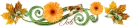Autumn flowers