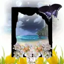 window