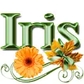 Iris