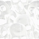 skulls