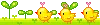 chicks