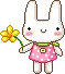 Usagi