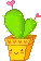 Cacti