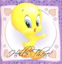 tweety