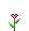 heart blossom