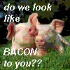 do they look like bacon to you??