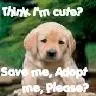 think im cute