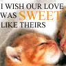 i wish ur love was....