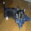cute!