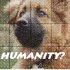 Help!!!Humanaty