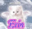 erin angel kitty