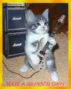 Cat Groove