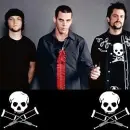 jackass