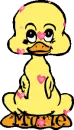 A ducky hello