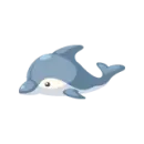 cute dolphin