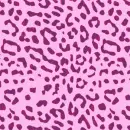 jaguar print