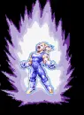 vegeta