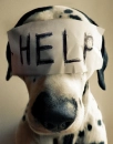 help