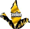 STEELERS