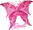 Cindi